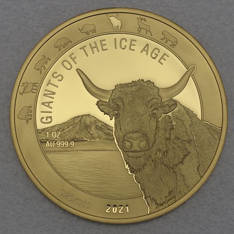 Goldmünze 1oz Ghana Giants of Ice Age 2021 - Auerochse