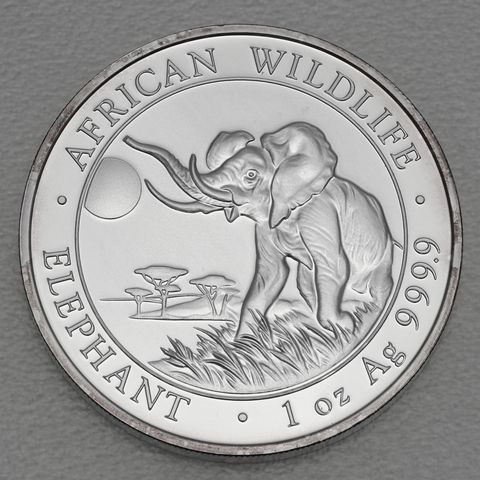 Silbermünze Somalia Elefant African Wildlife 2016