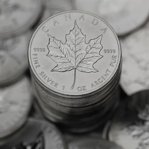 Maple Leaf Münzen Silber