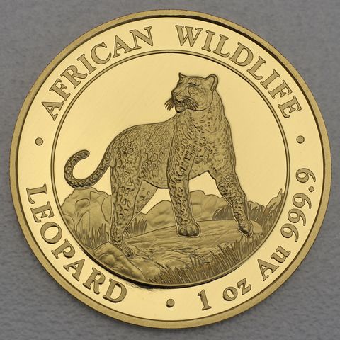 Goldmünze 1oz Somalia Leopard 2022