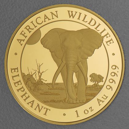 1oz Goldmünze Somalia Elefant 2025