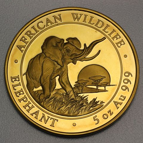 Goldmünze Somalia Elefant 5oz 2009 in limitierter Auflage von nur 99 Stück