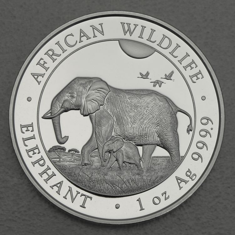 1oz Silbermünze Somalia Elefant 2022