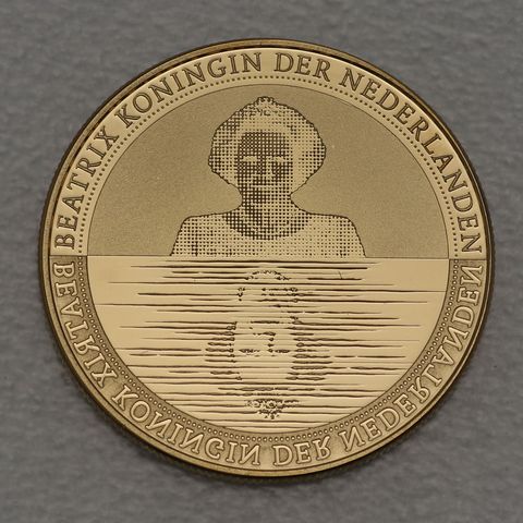 Goldmünze 10 Euro Niederlande 2010 Waterland