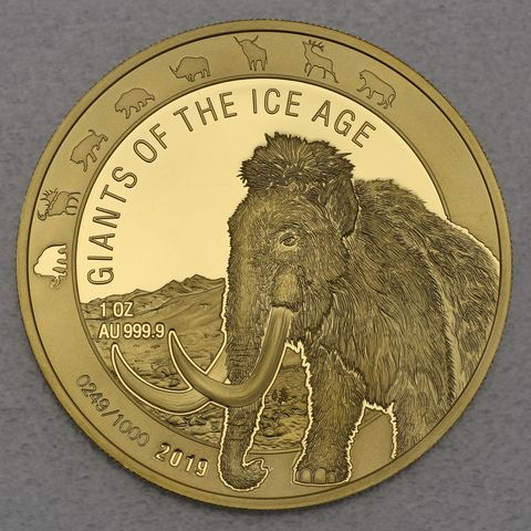 Goldmünze 1oz Ghana Giants of Ice Age 2019 - Wollmammut