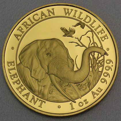 Goldmünze Somalia Elefant 2018