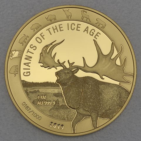 Goldmünze 1oz Ghana Giants of Ice Age 2019 - Riesenhirsch