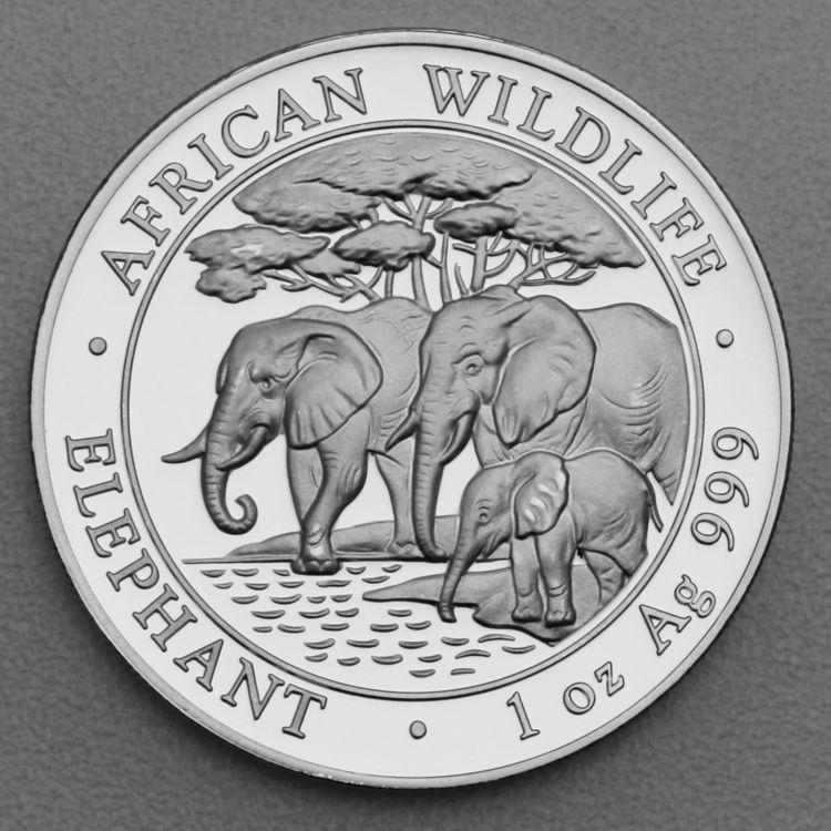 1oz Silbermünze Somalia Elefant 2013