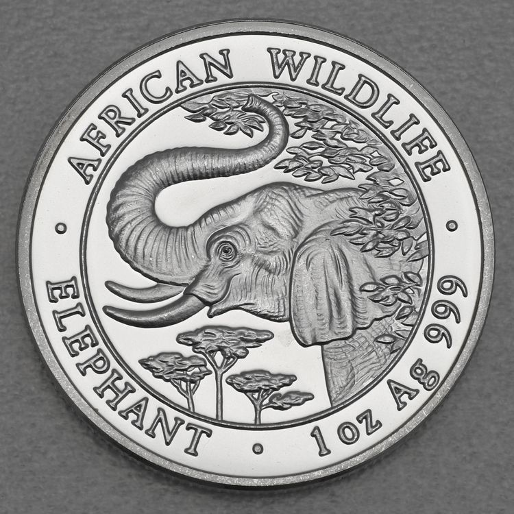 1oz Silbermünze Somalia Elefant 2005