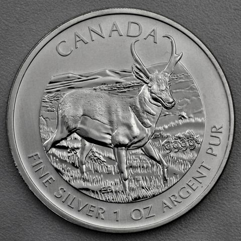 Silbermünze 1oz Canadian Wildlife 2013 Antilope