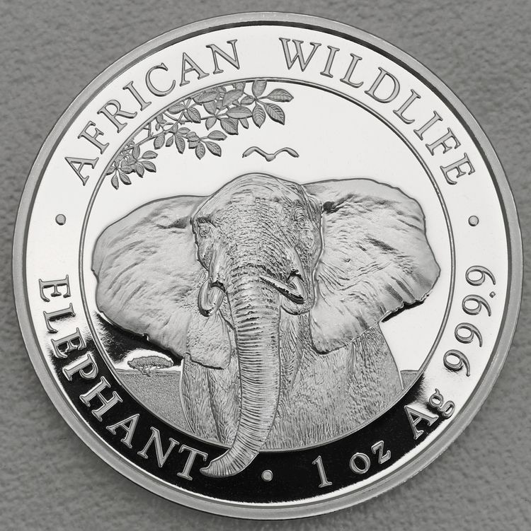 1oz Silbermünze Somalia Elefant 2021